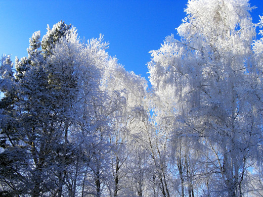 45712 (a): :1600x1200